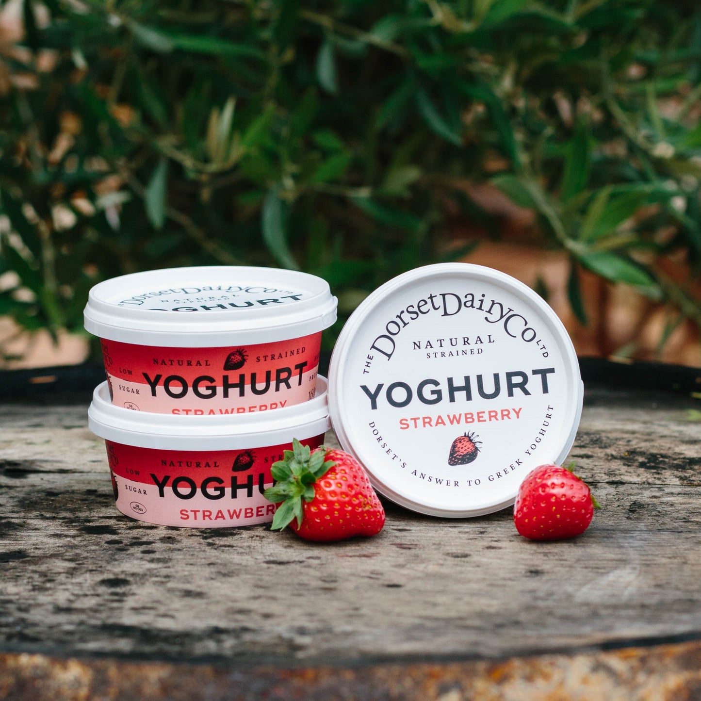 Strawberry Strained Yoghurts - 3x160g